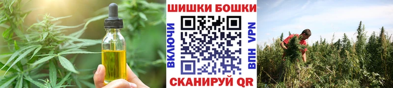 что такое   Зеленодольск  Canna-Cookies конопля 