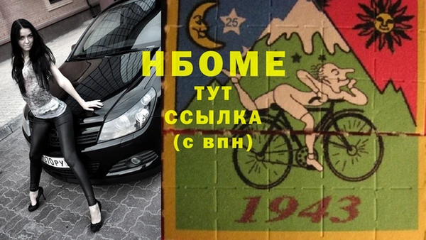 хмурый Абаза