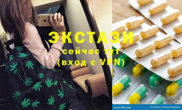 хмурый Абаза