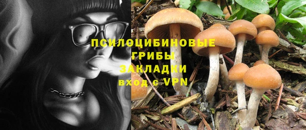 спиды Абдулино