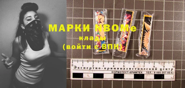 хмурый Абаза