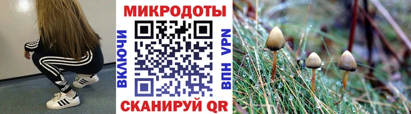Псилоцибиновые грибы GOLDEN TEACHER  Зеленодольск 